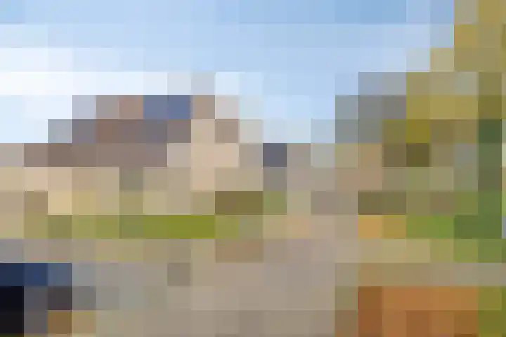 Colenbranderstraat 2 Duiven thumbnail 36