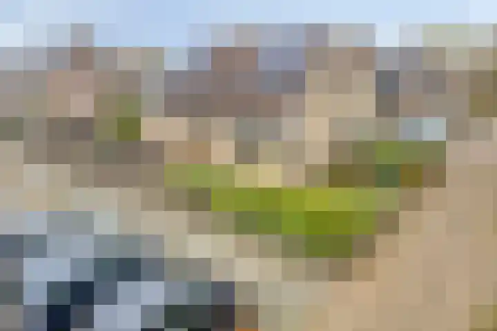 Colenbranderstraat 2 Duiven thumbnail 37