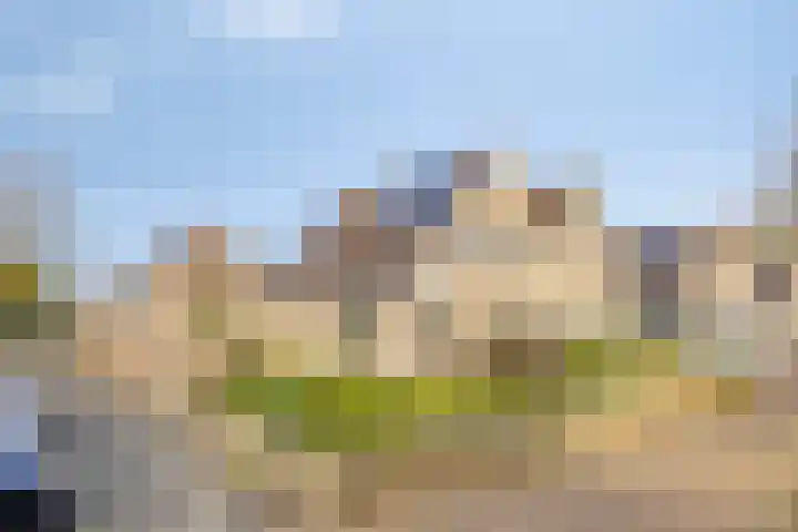 Colenbranderstraat 2 Duiven thumbnail 38