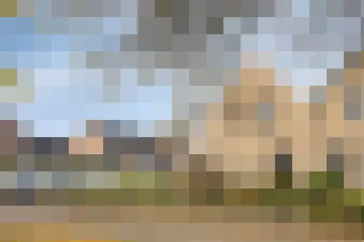 Colenbranderstraat 2 Duiven thumbnail 39