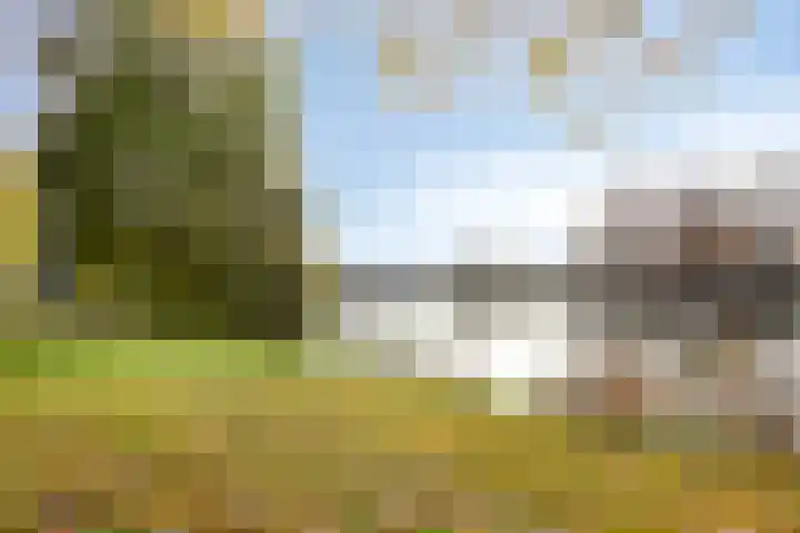 Colenbranderstraat 2 Duiven thumbnail 41