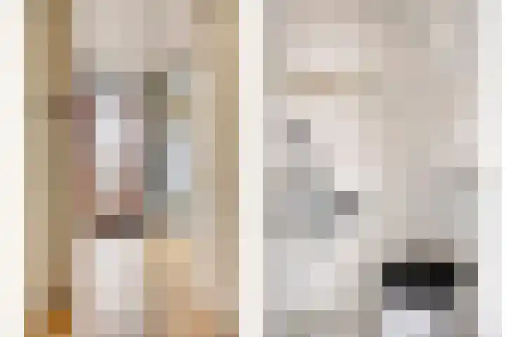 Colenbranderstraat 2 Duiven thumbnail 6