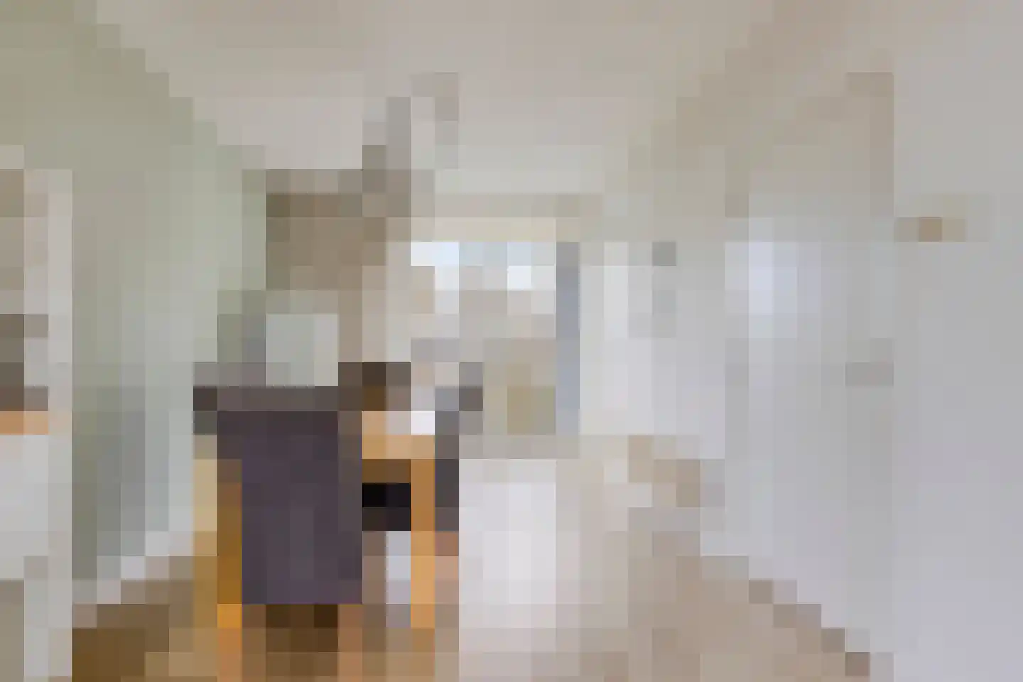 Colenbranderstraat 21 Eindhoven thumbnail 7