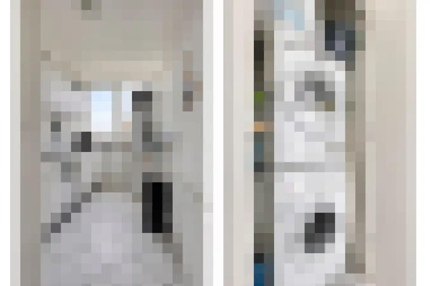 Colenbranderstraat 21 Eindhoven thumbnail 9