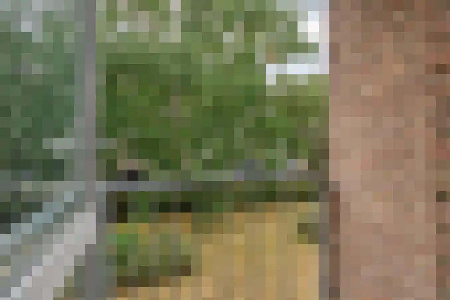 Colenbranderstraat 25 Eindhoven thumbnail 22