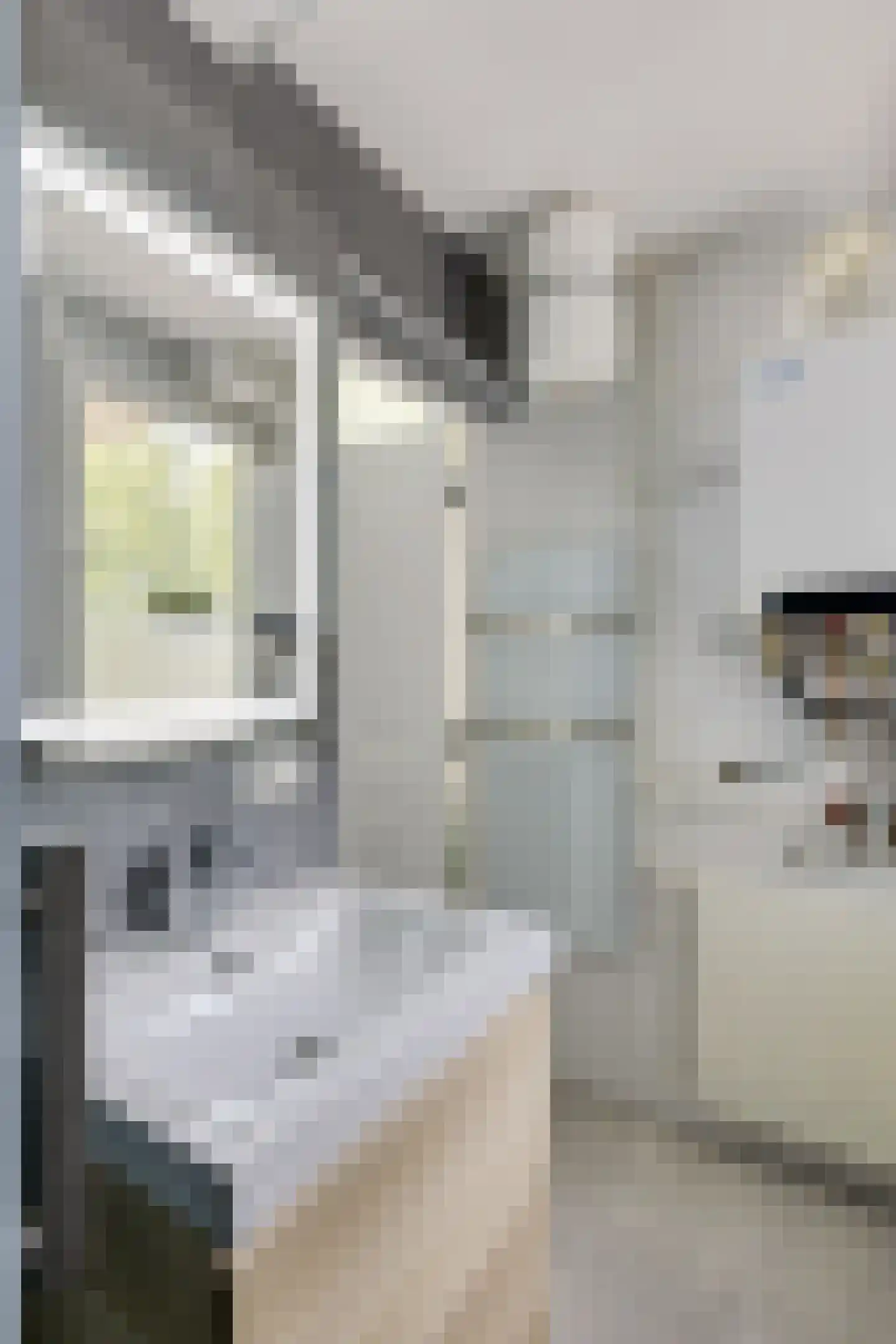 Colenbranderstraat 3 Eindhoven thumbnail 14
