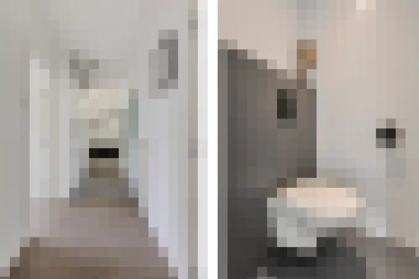 Colenbranderstraat 3 Eindhoven thumbnail 21