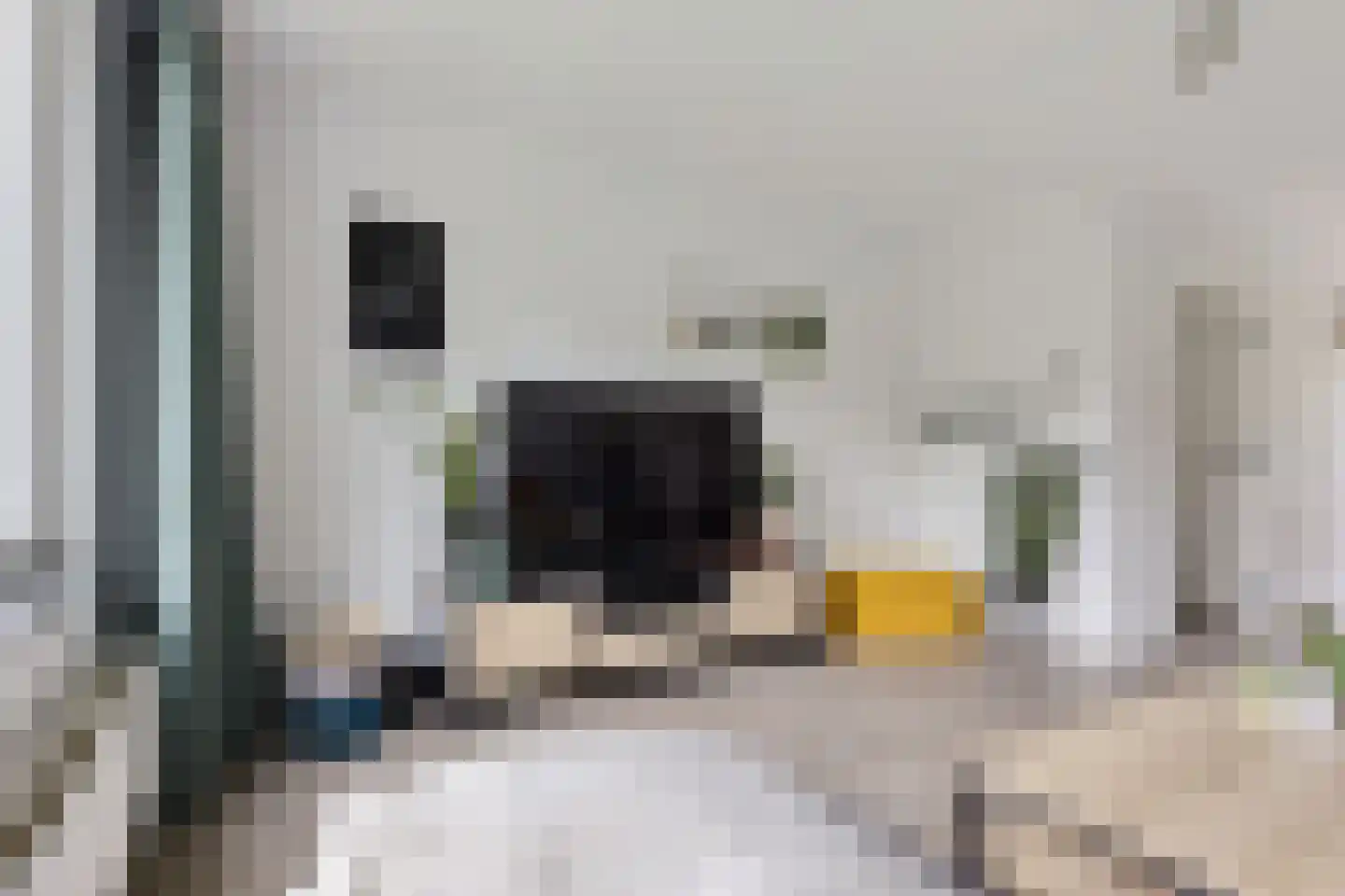 Colenbranderstraat 3 Eindhoven thumbnail 5