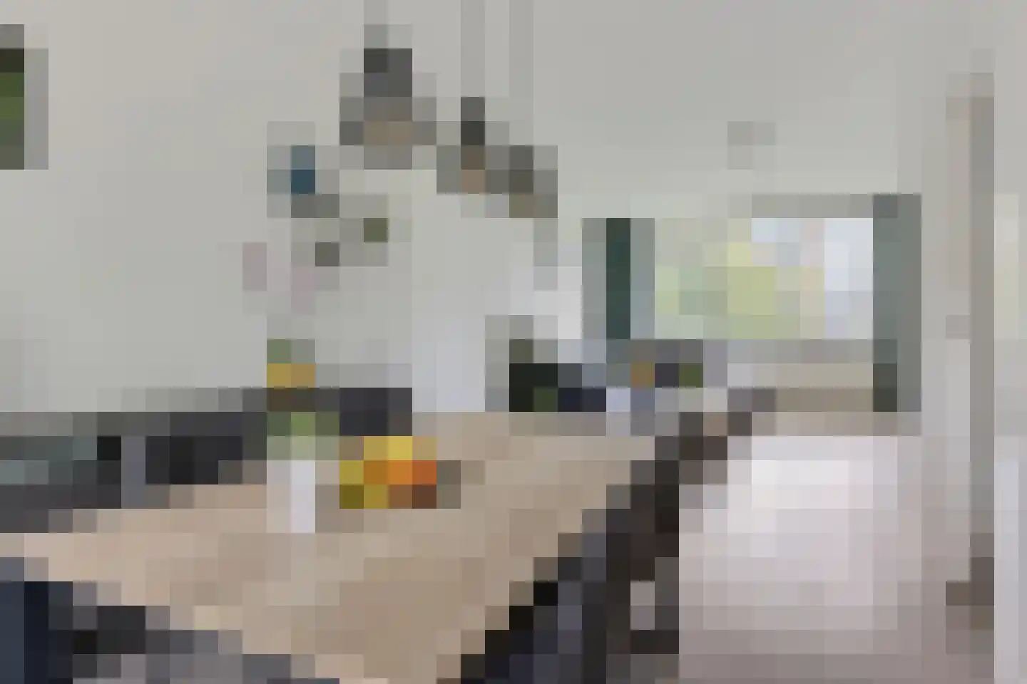 Colenbranderstraat 3 Eindhoven thumbnail 7