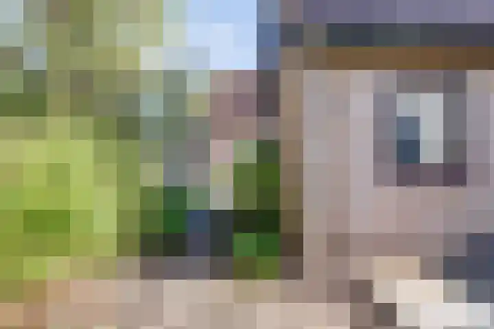 Colenbranderstraat 30 Nijkerk thumbnail 33