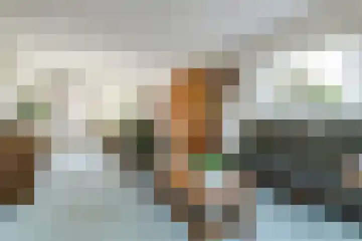 Colenbranderstraat 30 Nijkerk thumbnail 5