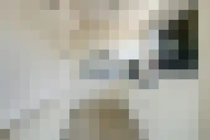 Colenbranderstraat 30 Nijkerk thumbnail 9