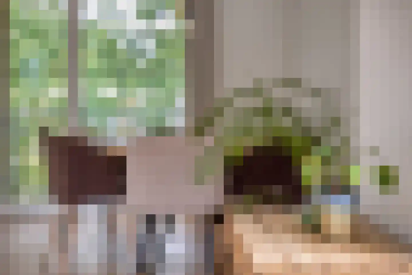 Colenbranderstraat 35 Eindhoven thumbnail 18