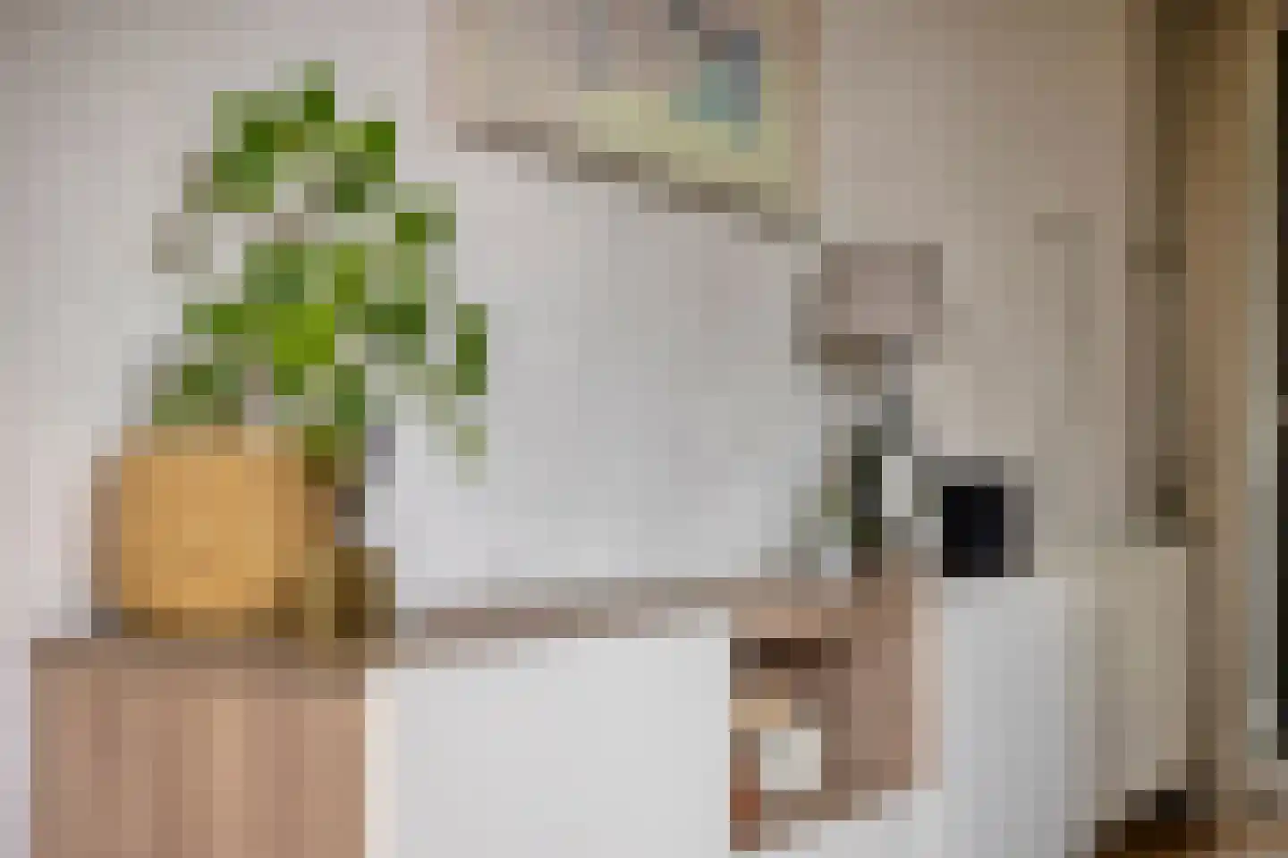Colenbranderstraat 35 Eindhoven thumbnail 19