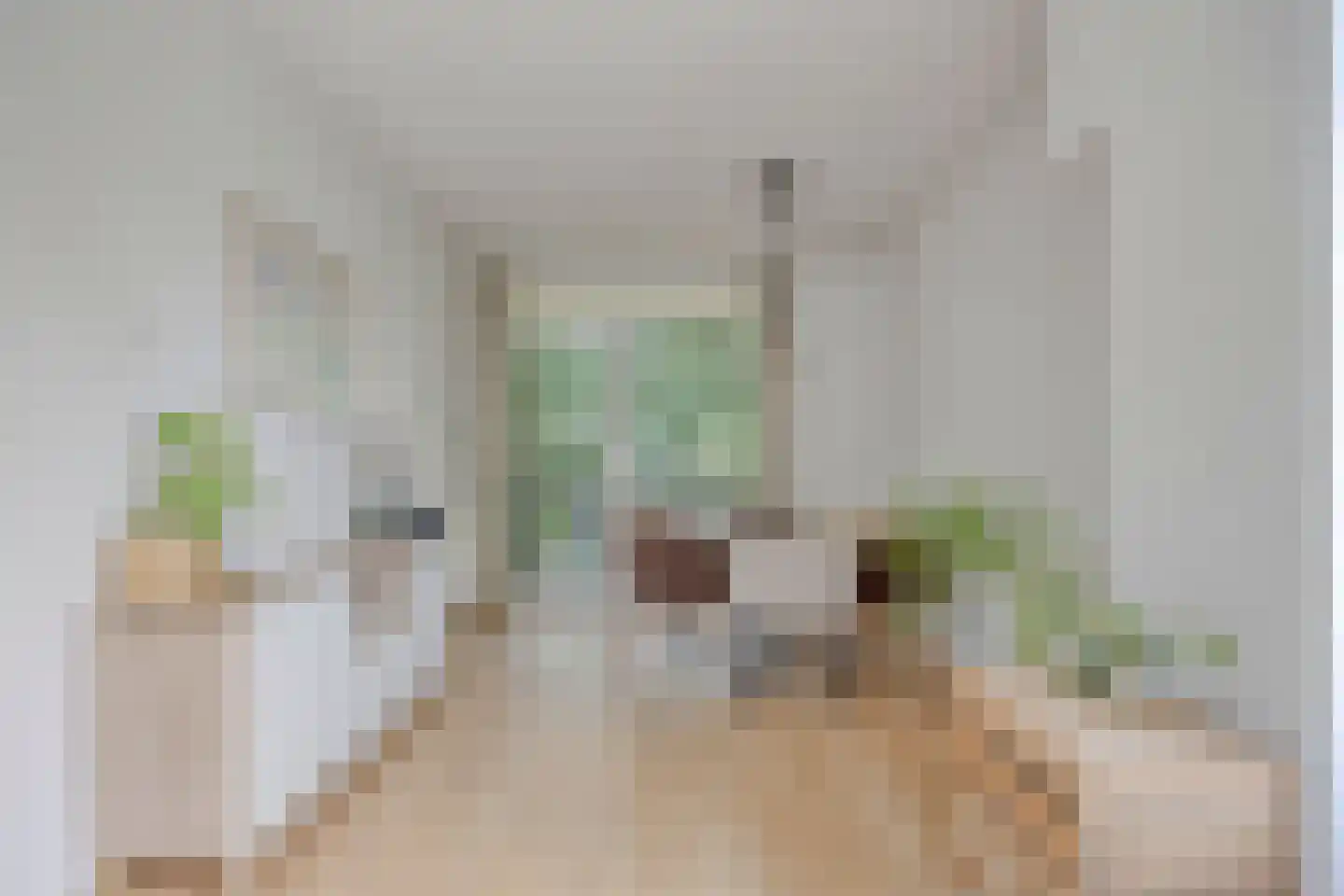 Colenbranderstraat 35 Eindhoven thumbnail 20