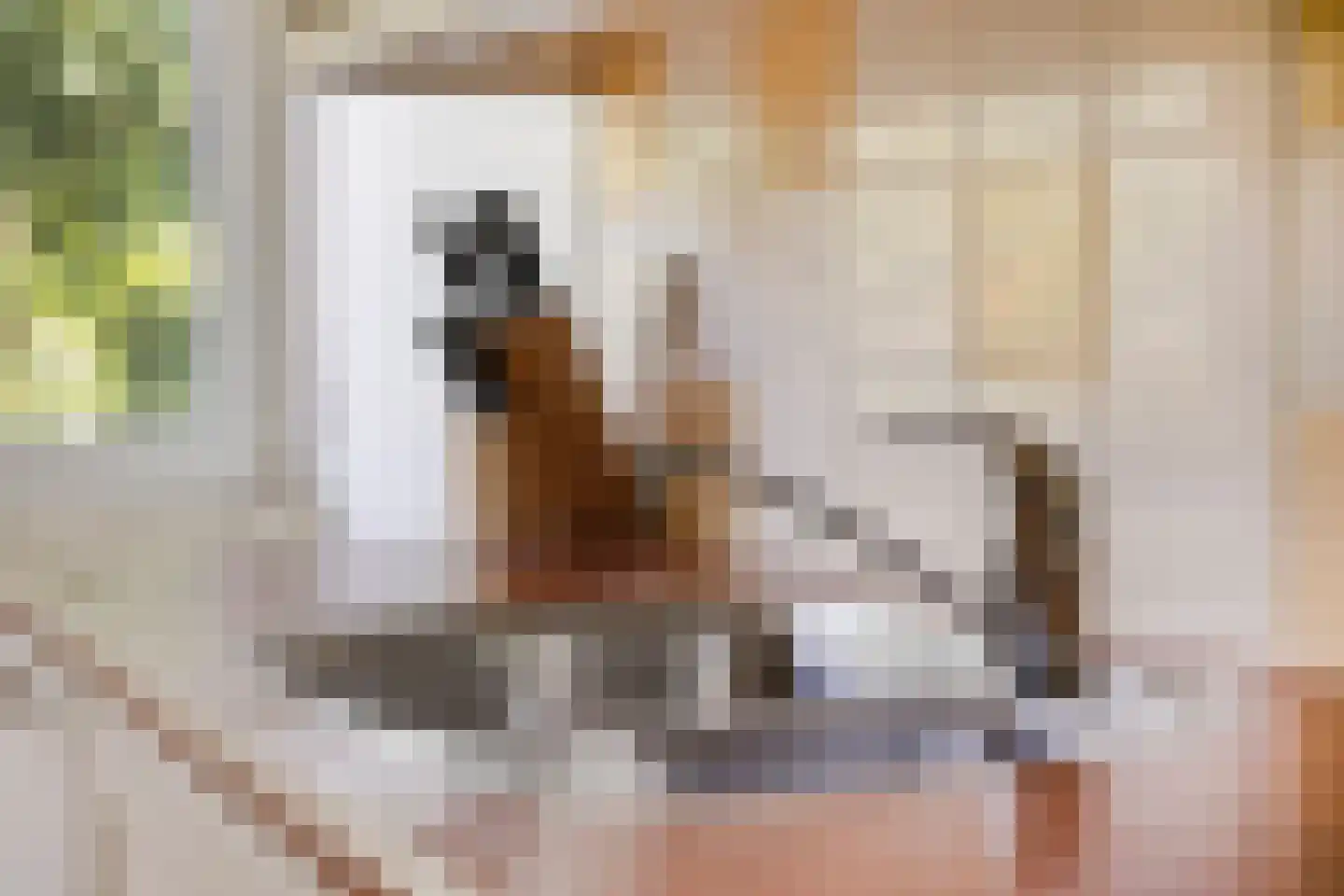 Colenbranderstraat 35 Eindhoven thumbnail 30