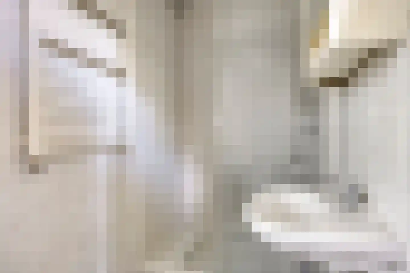 Colenbranderstraat 35 Eindhoven thumbnail 35