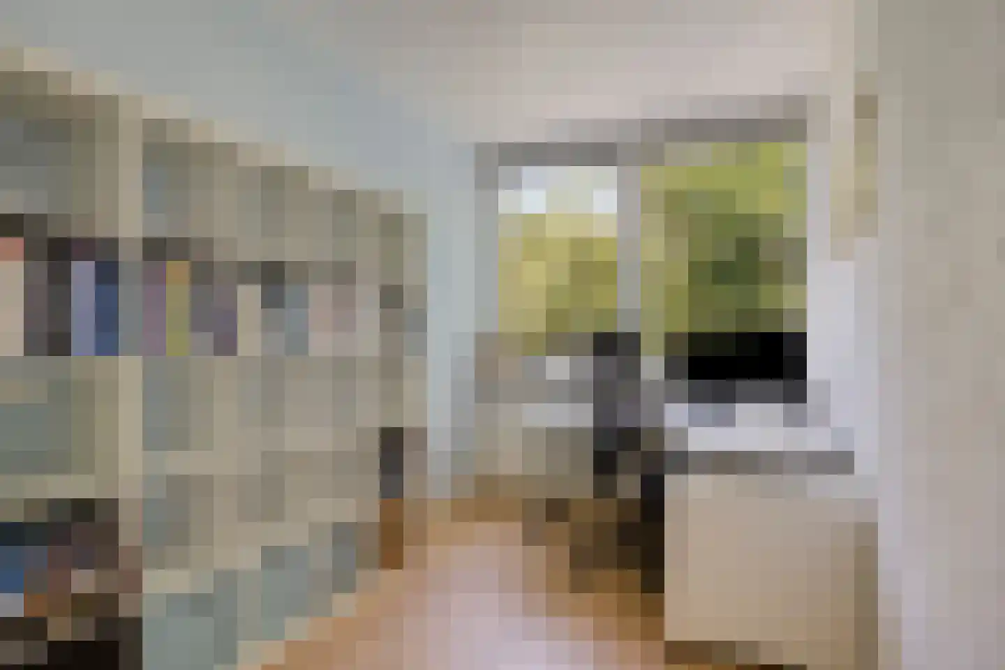 Colenbranderstraat 35 Eindhoven thumbnail 37