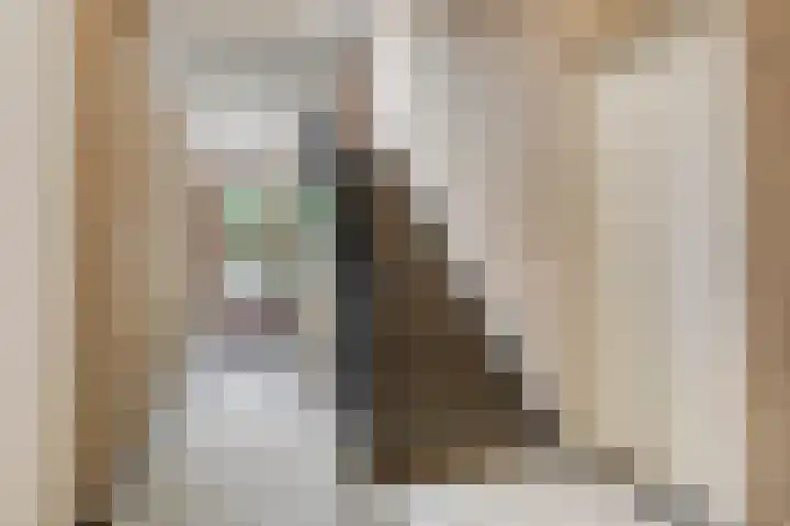 Colenso 113 Soest thumbnail 15