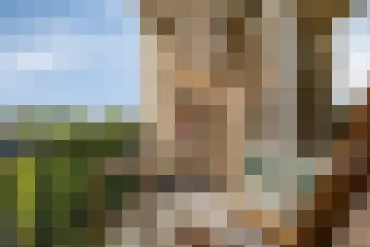 Colenso 113 Soest thumbnail 24