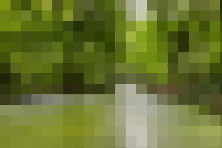 Colenso 113 Soest thumbnail 26
