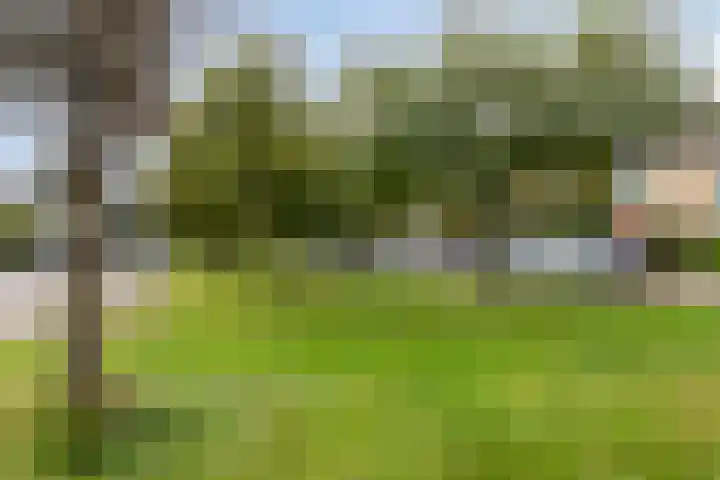 Colenso 113 Soest thumbnail 27