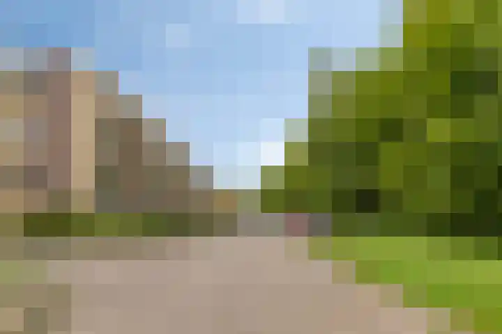 Colenso 113 Soest thumbnail 28