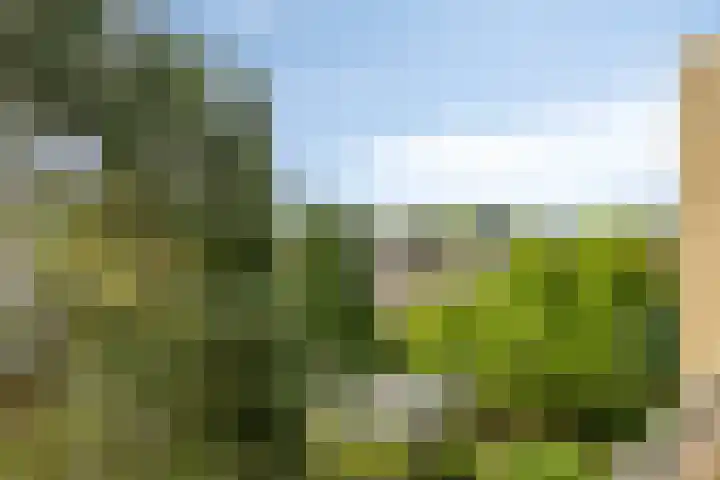Colenso 113 Soest thumbnail 29