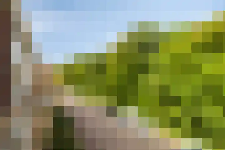 Colenso 113 Soest thumbnail 30