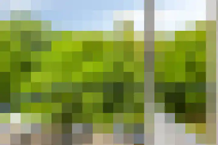 Colenso 113 Soest thumbnail 4