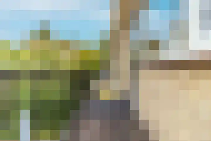 Colenso 118 Soest thumbnail 13