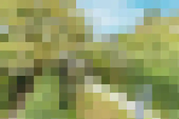 Colenso 118 Soest thumbnail 14