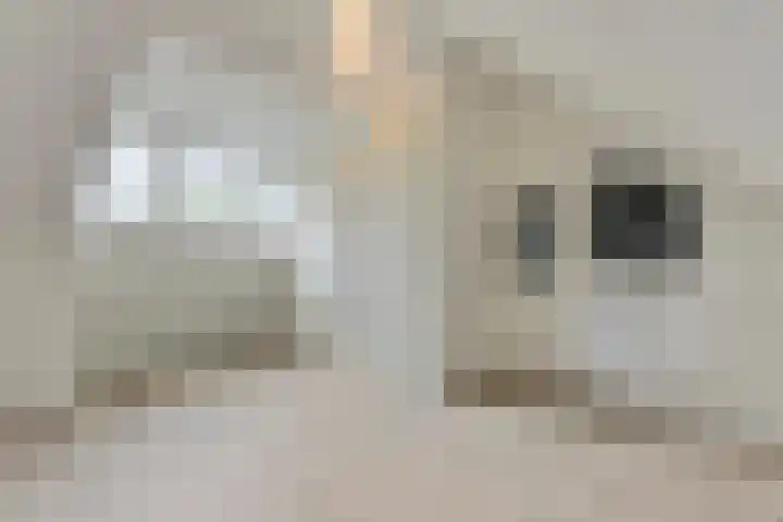 Colenso 118 Soest thumbnail 21