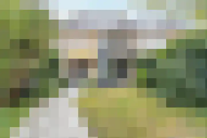 Colenso 118 Soest thumbnail 23