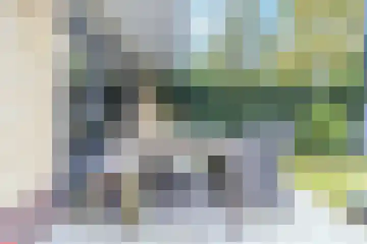 Colenso 118 Soest thumbnail 24