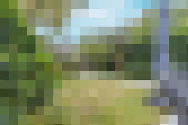 Colenso 118 Soest thumbnail 25