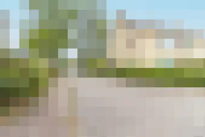 Colenso 118 Soest thumbnail 27