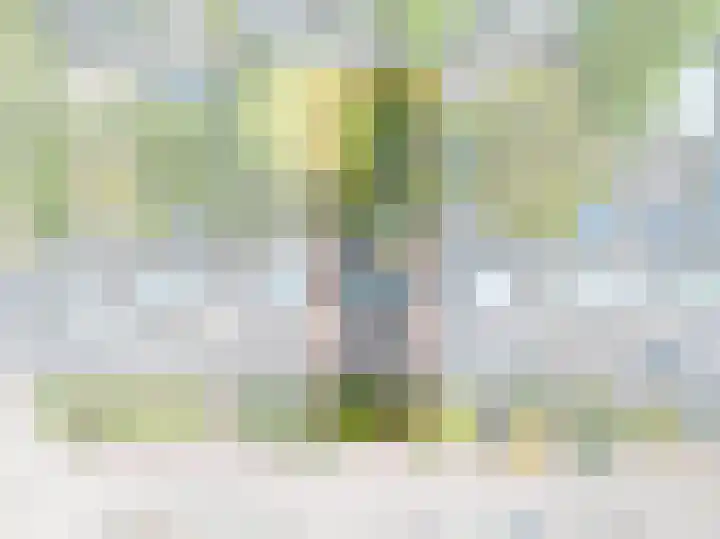 Colenso 118 Soest thumbnail 28