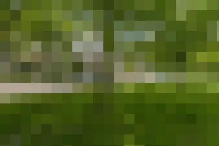 Colenso 118 Soest thumbnail 30