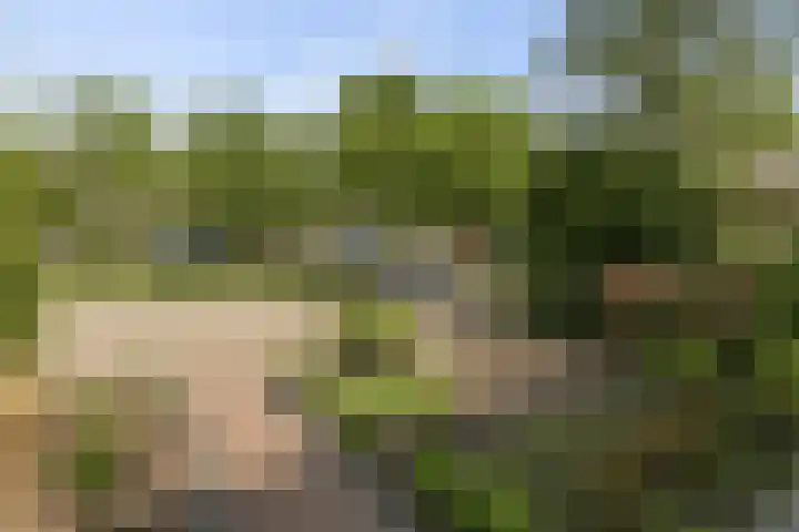 Colenso 118 Soest thumbnail 31