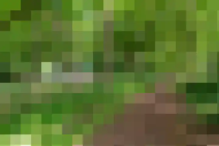 Colenso 12 Soest thumbnail 33