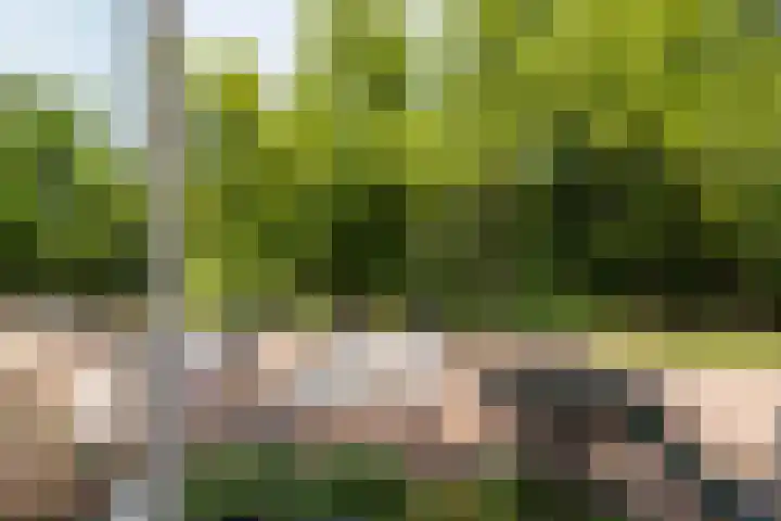 Colenso 12 Soest thumbnail 9