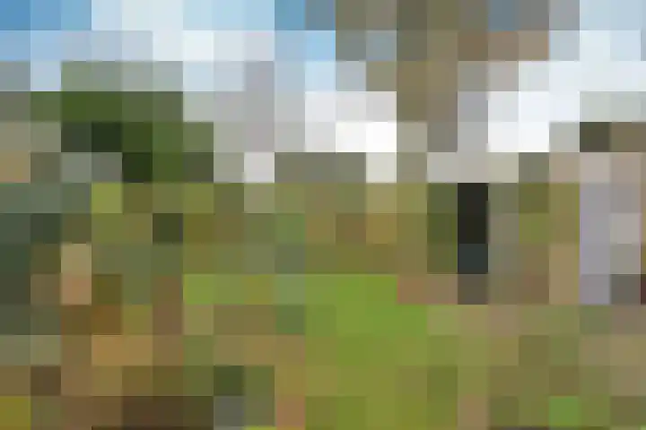 Colenso 122 Soest thumbnail 5
