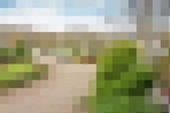 Colenso 122 Soest thumbnail 6