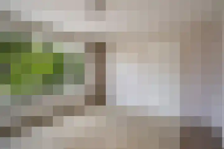Colenso 124 Soest thumbnail 12