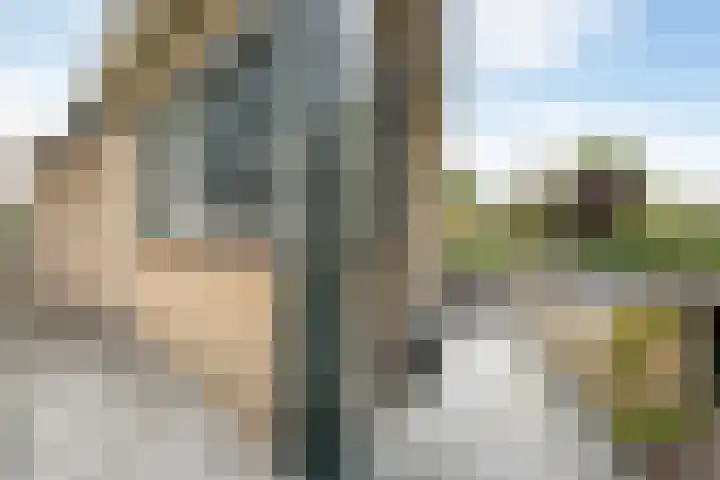 Colenso 124 Soest thumbnail 17