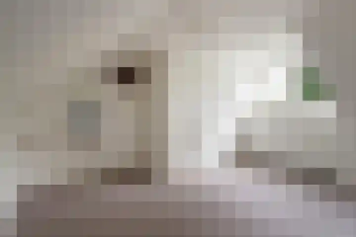 Colenso 124 Soest thumbnail 18
