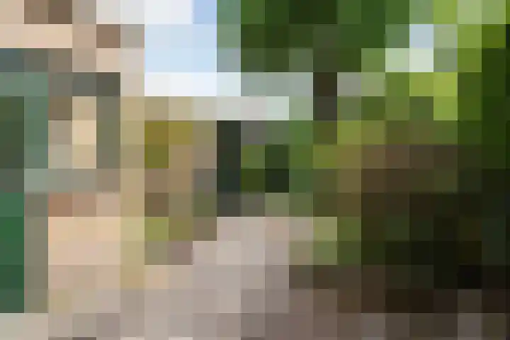 Colenso 124 Soest thumbnail 20