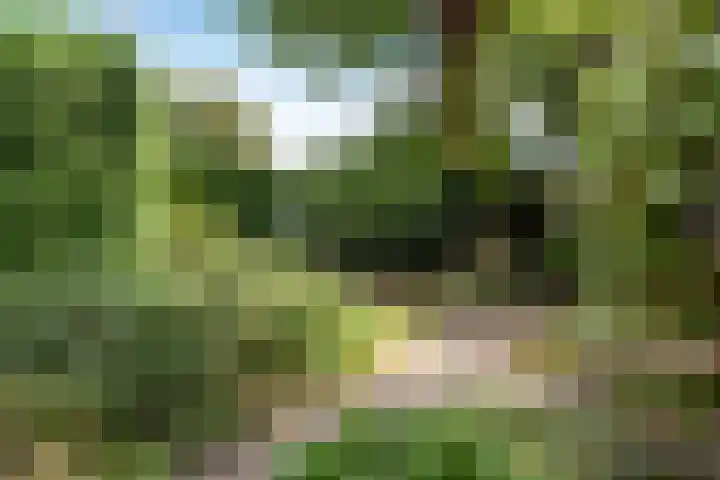 Colenso 124 Soest thumbnail 21