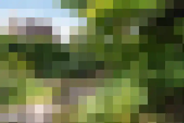 Colenso 124 Soest thumbnail 22